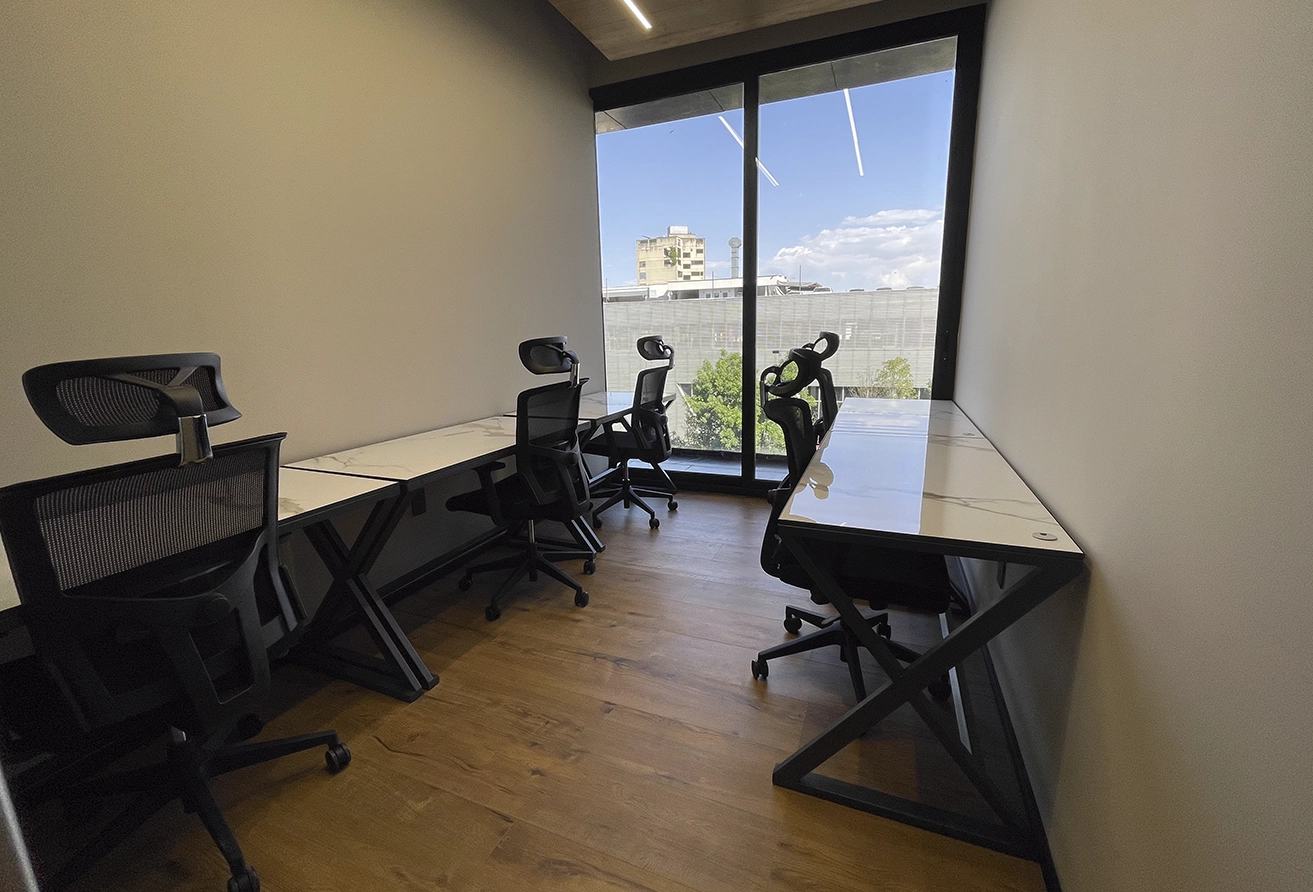 Colony_Insurgentes_2