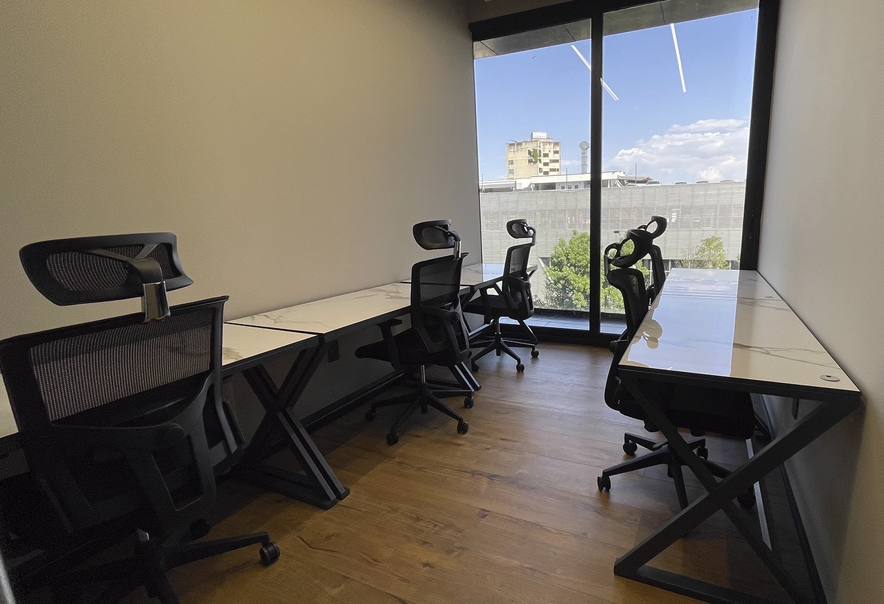 Colony_Insurgentes_4