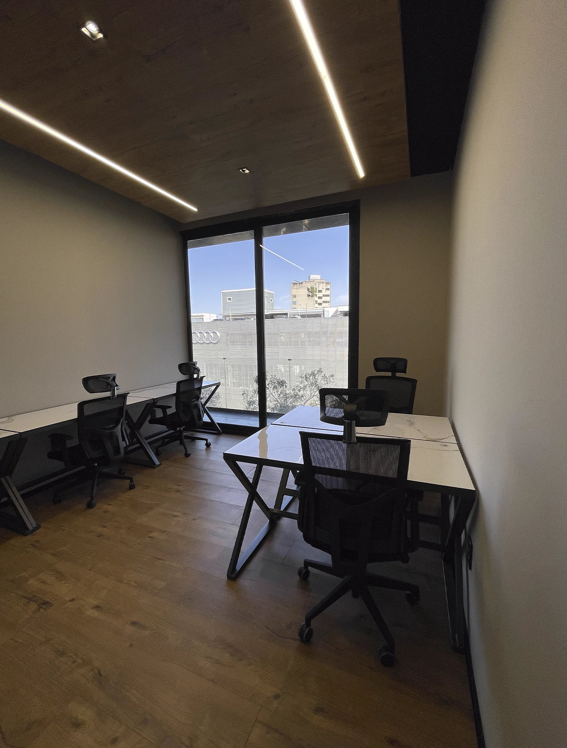 Colony_Insurgentes_5